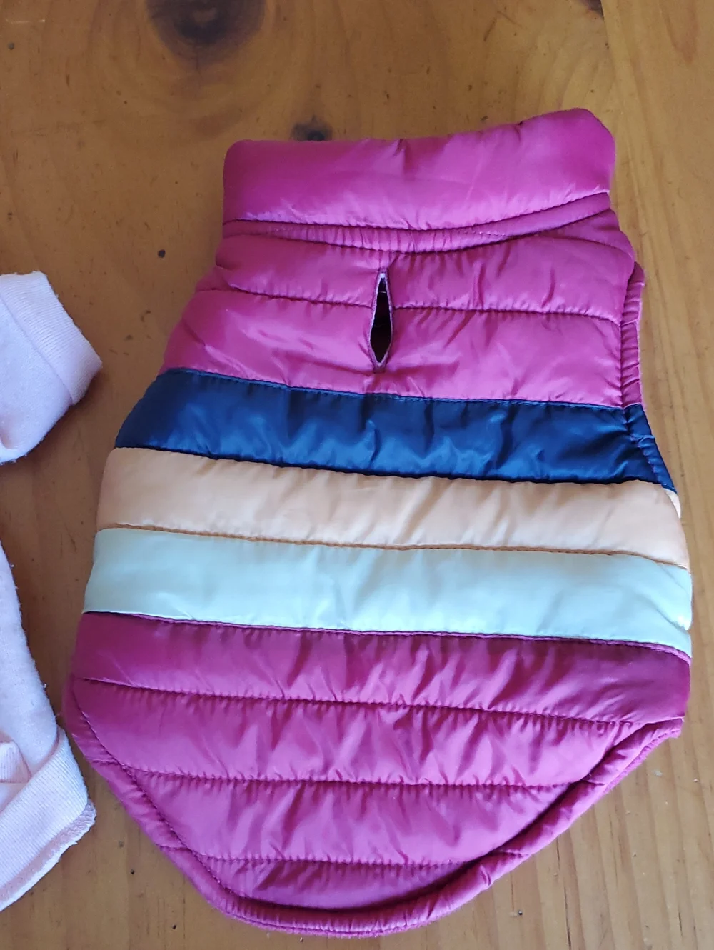XS Dog Sweatshirt and Puffer Vest